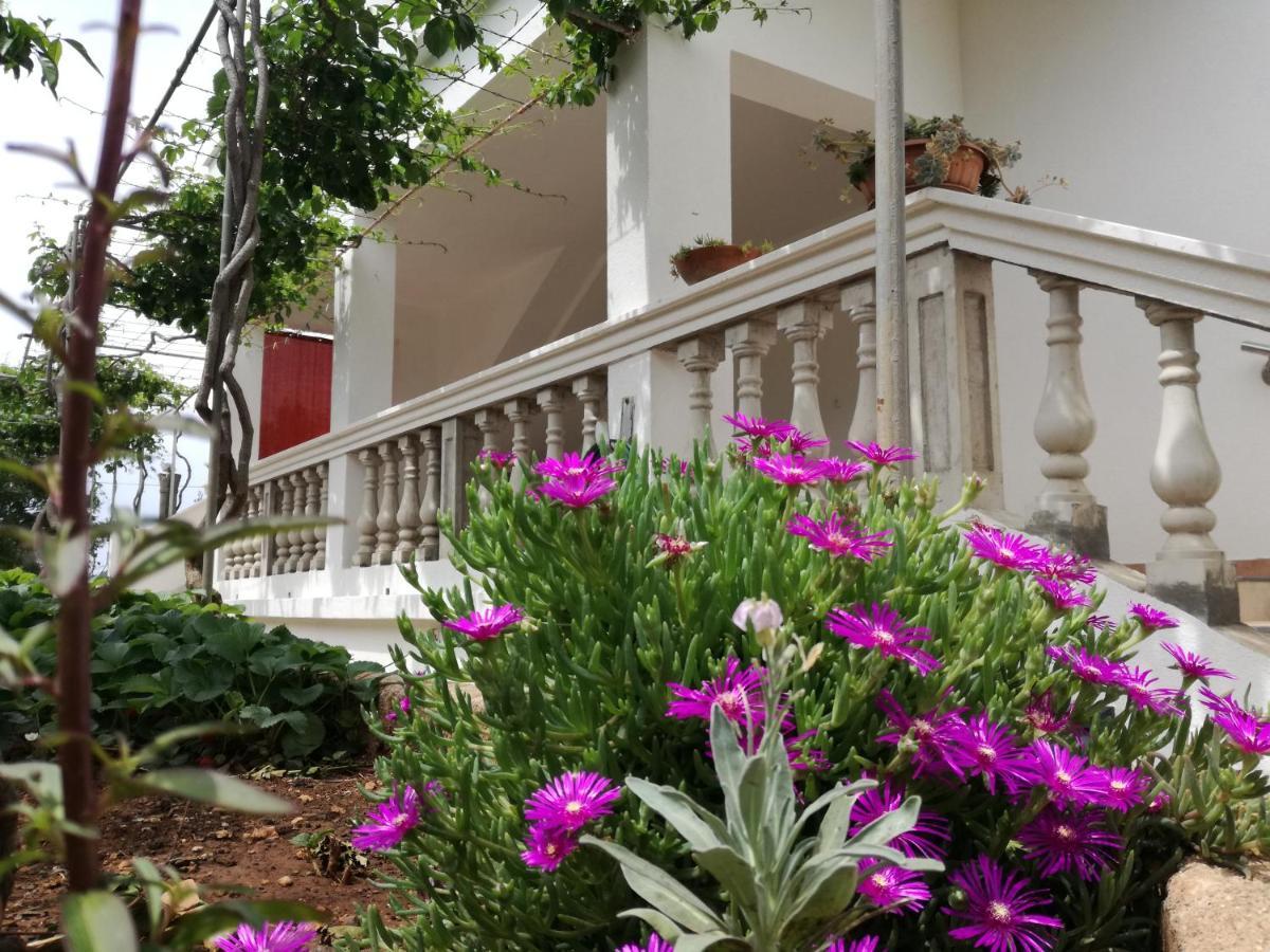 Apartmani Daniela Murter Dış mekan fotoğraf